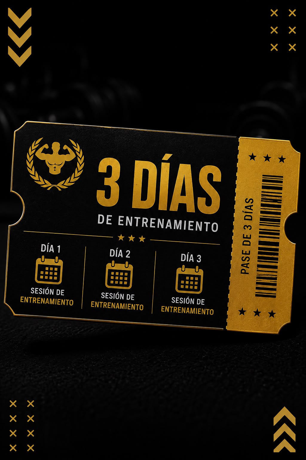 Entrenamiento Personal (Pack de 3)