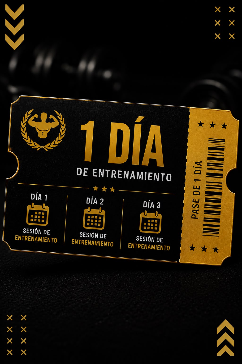 Entrenamiento Personal